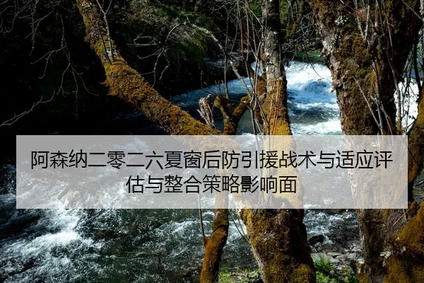 阿森纳二零二六夏窗后防引援战术与适应评估与整合策略影响面